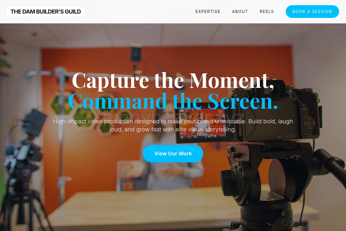 Mold Video Production